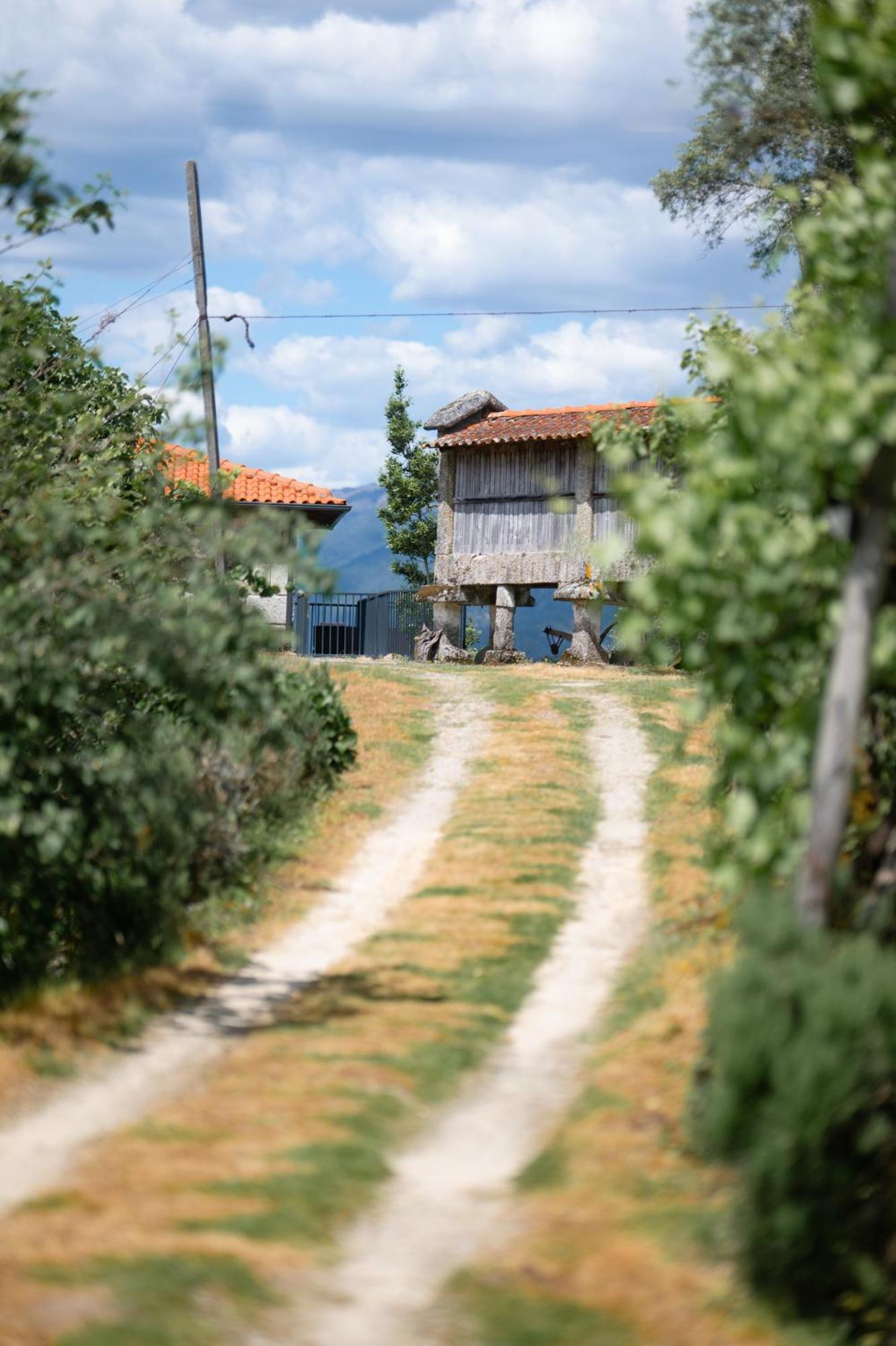 Quinta De Calvelos Vieira do Minho Dış mekan fotoğraf