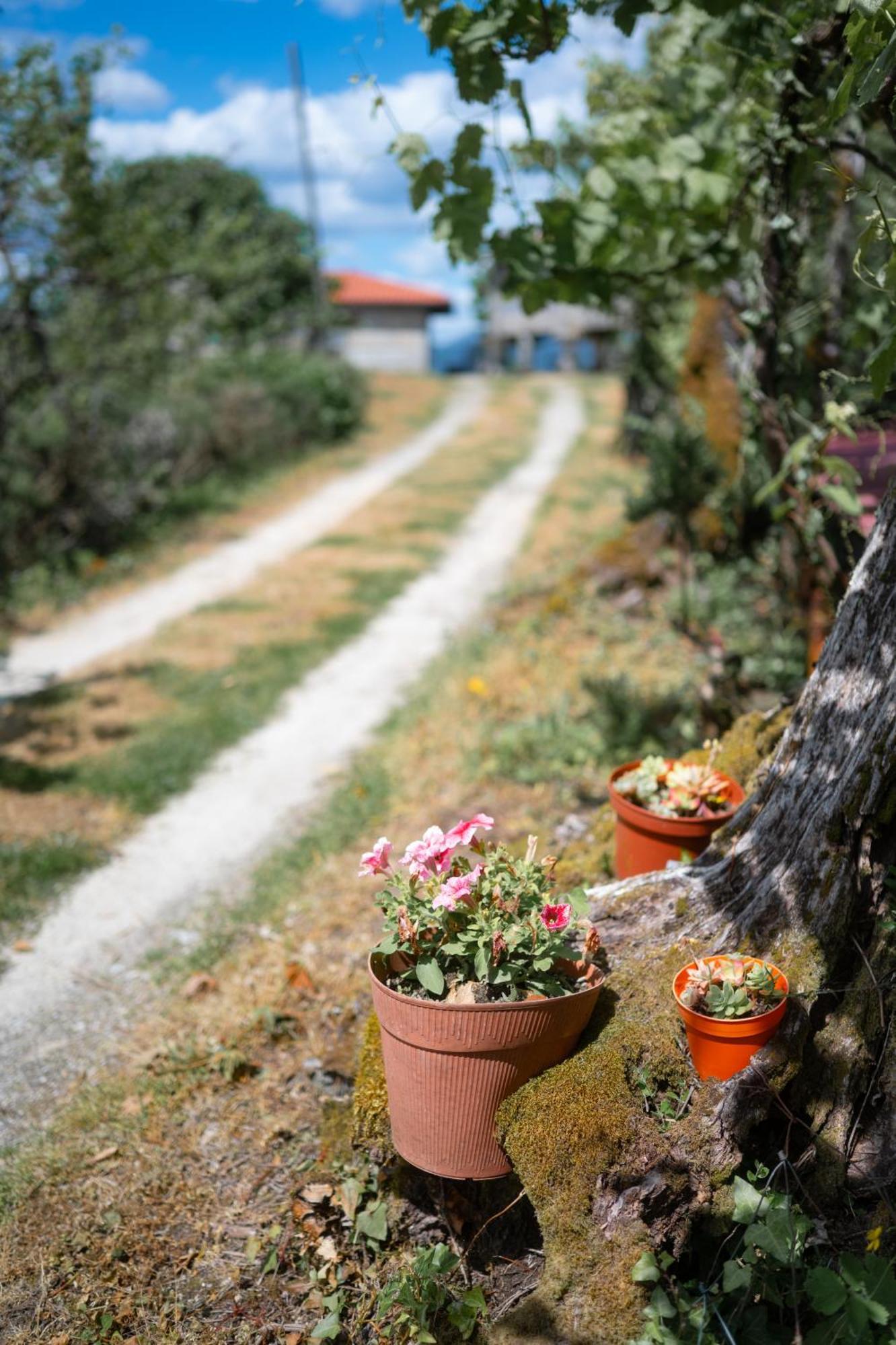 Quinta De Calvelos Vieira do Minho Dış mekan fotoğraf