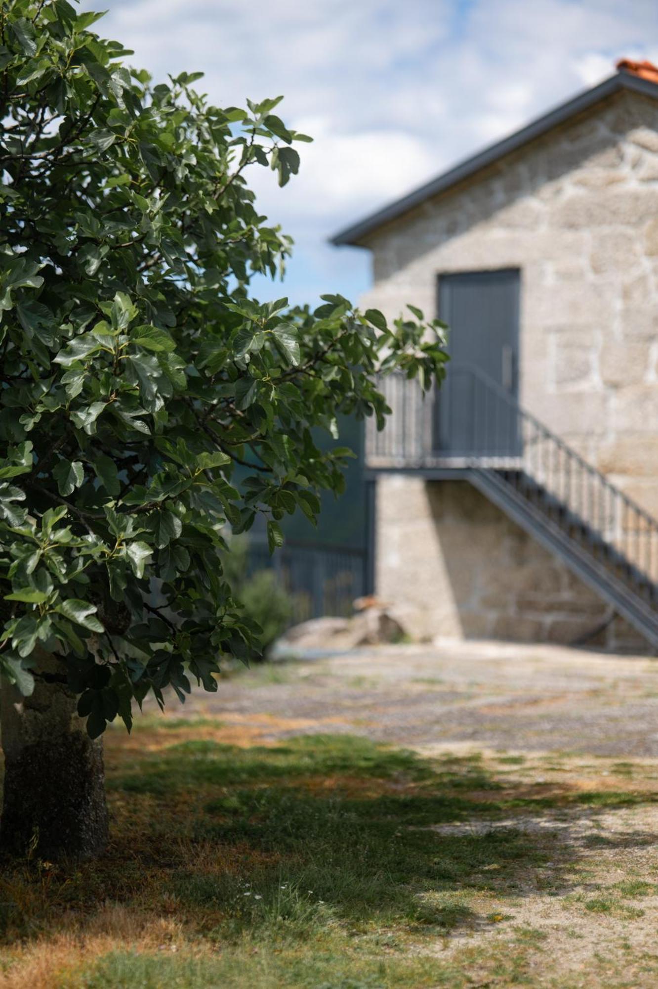 Quinta De Calvelos Vieira do Minho Dış mekan fotoğraf